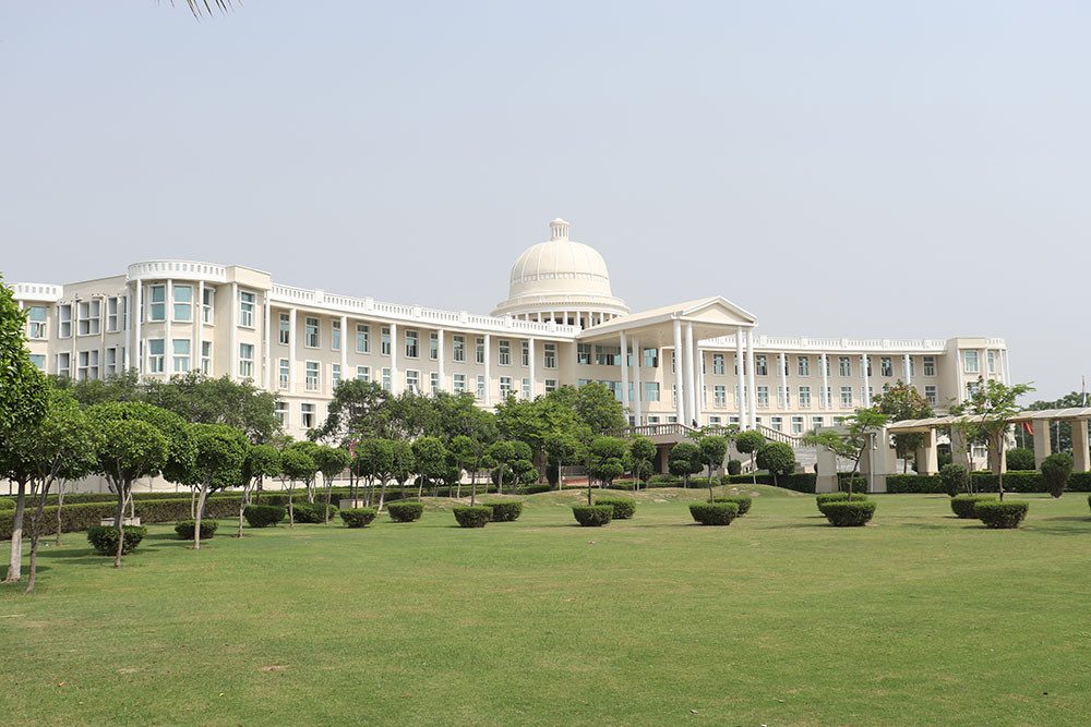 Noida International University, Admission 2025, Cutoff, Placement, Fees, Courses