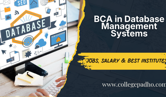 BCA in Database Management Systems– Jobs, Salary & Best Institutes