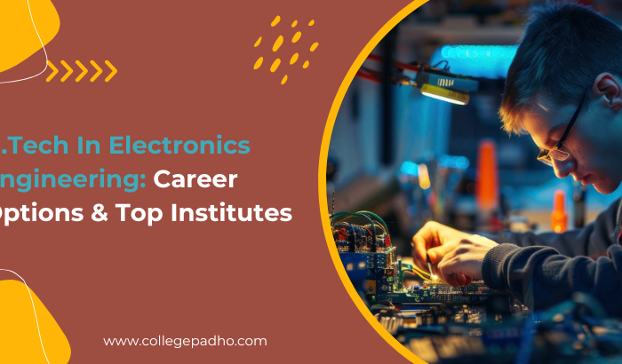 B.Tech In Electronics Engineering: Career Options & Top Institutes